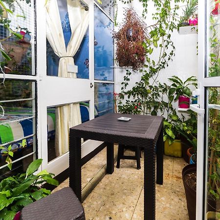 Casa Itzae B&B Polanquito Dog Friendly 멕시코 시 외부 사진