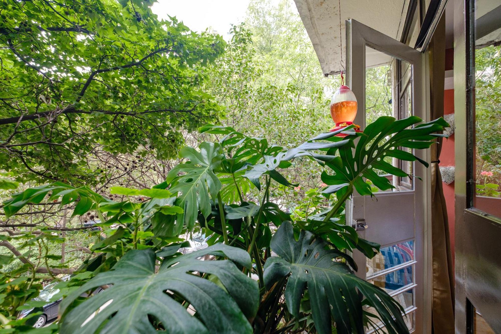 Casa Itzae B&B Polanquito Dog Friendly 멕시코 시 외부 사진
