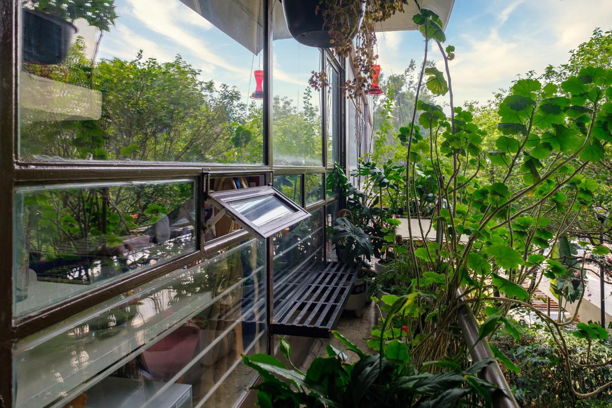 Casa Itzae B&B Polanquito Dog Friendly 멕시코 시 외부 사진