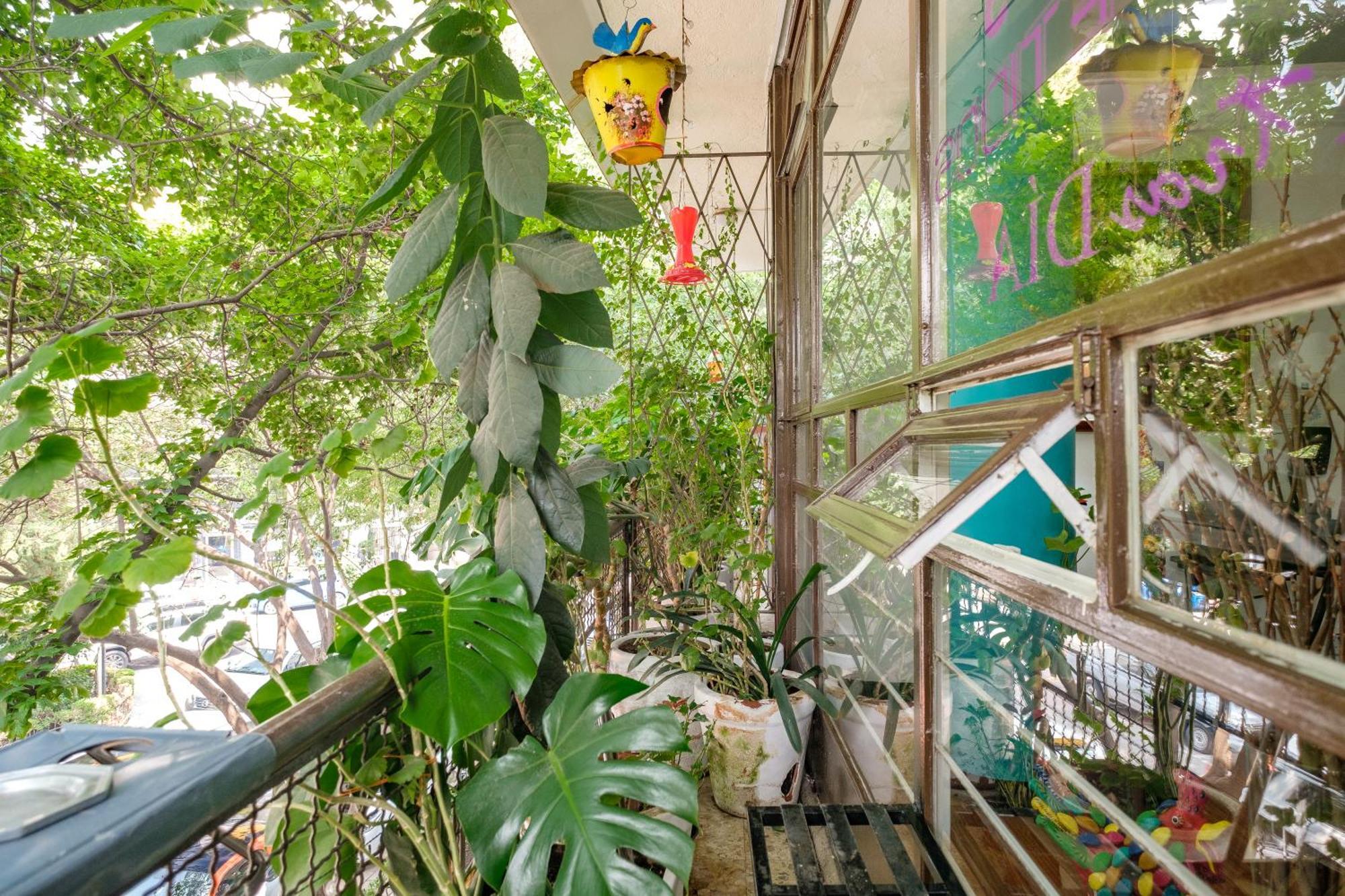 Casa Itzae B&B Polanquito Dog Friendly 멕시코 시 외부 사진