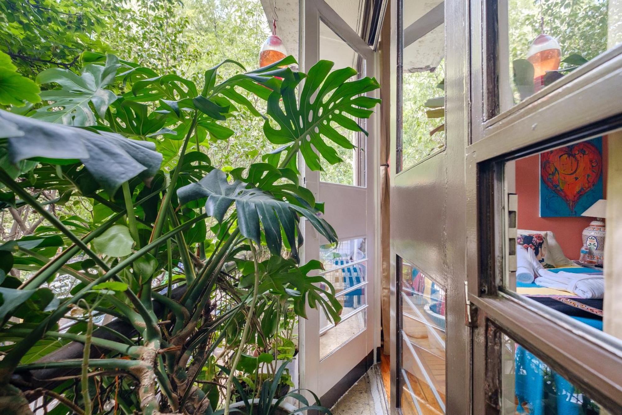 Casa Itzae B&B Polanquito Dog Friendly 멕시코 시 외부 사진